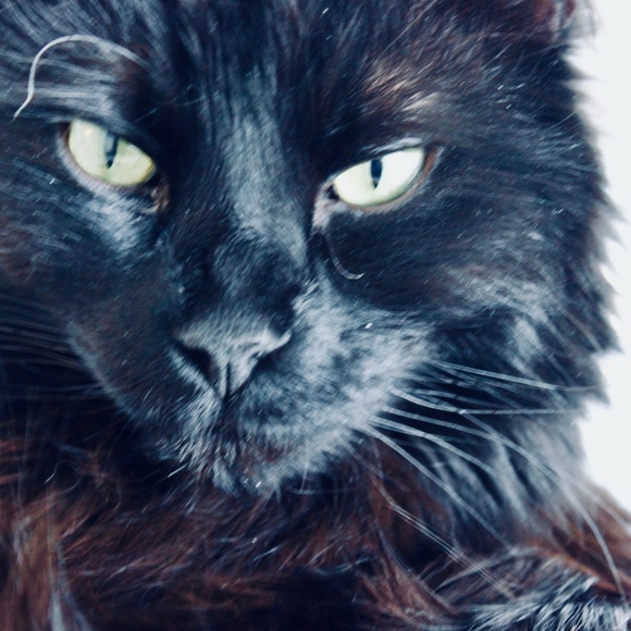 Meet your Posher, Lora - Picture 1 of 1